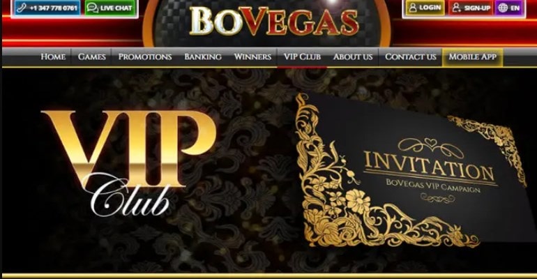 BoVegas Casino