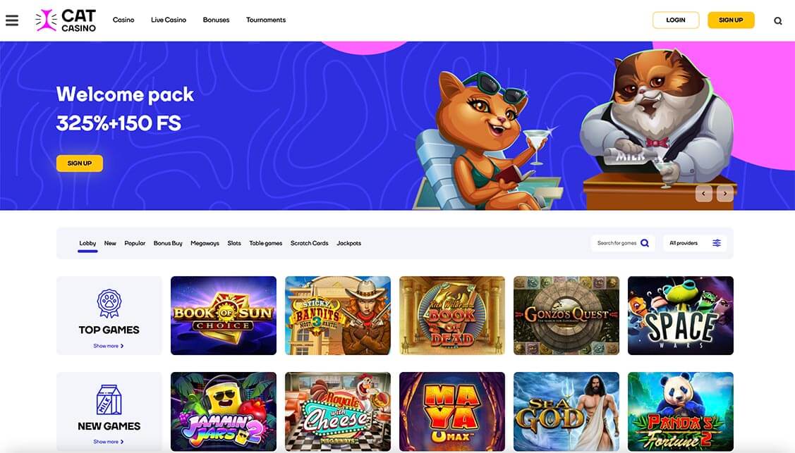 Cat Casino Review