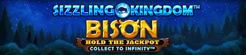 Sizzling Kingdom Bison