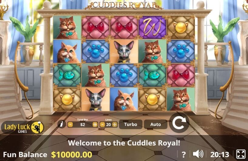 Cuddles Royal