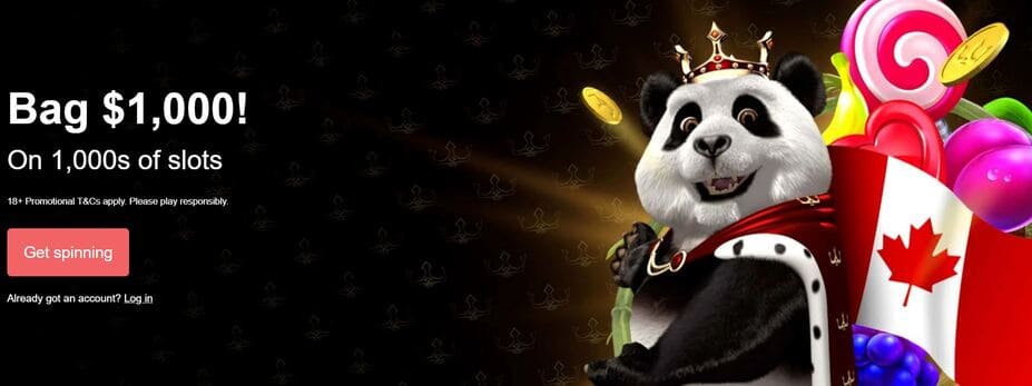 Royal Panda Bonus