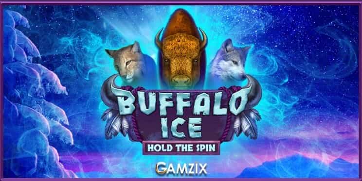 Buffalo Coin Hold the Spin